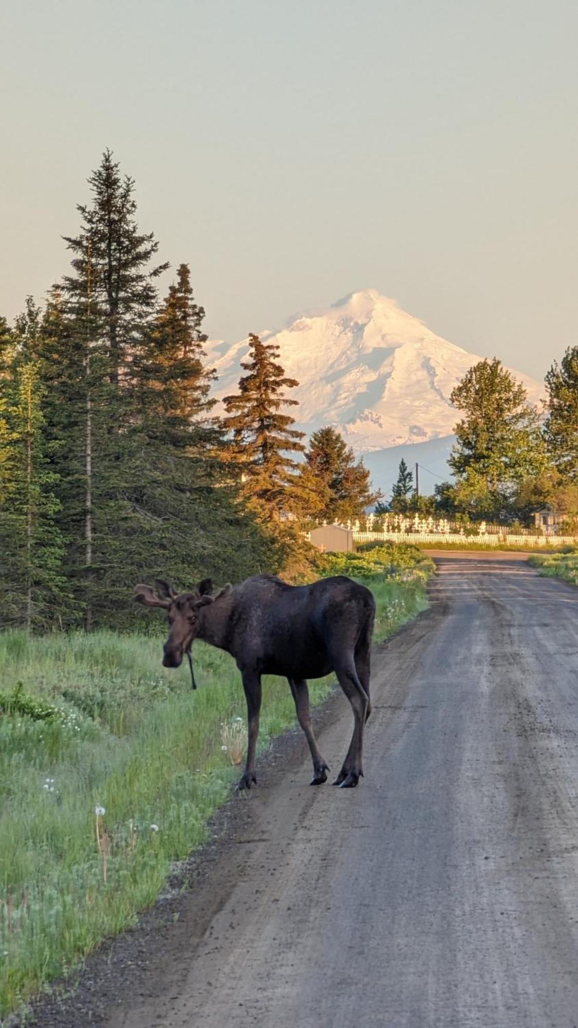 Southern Bluff Bed & Breakfast Soldotna Esterno foto