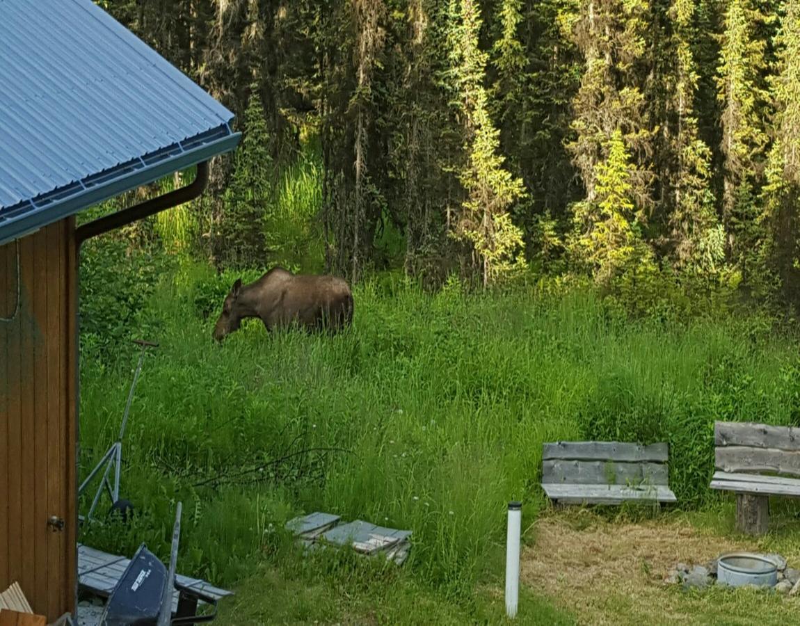 Southern Bluff Bed & Breakfast Soldotna Esterno foto