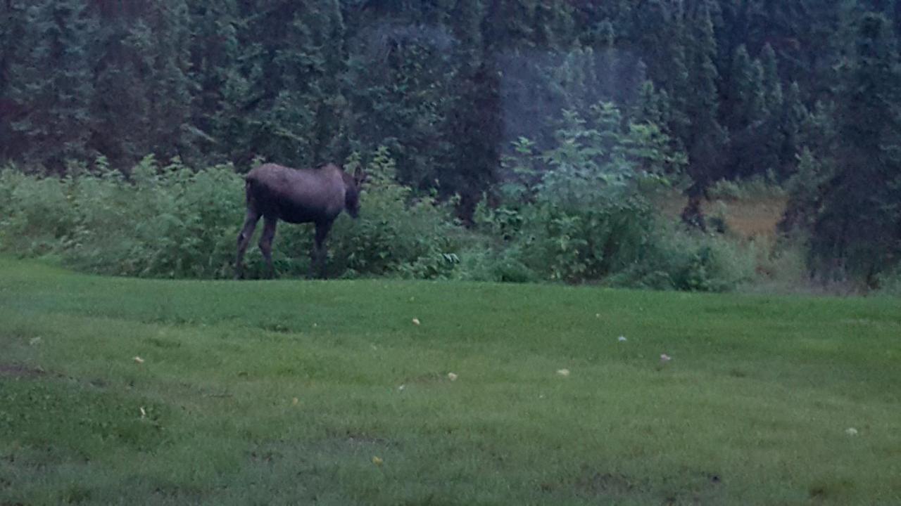 Southern Bluff Bed & Breakfast Soldotna Esterno foto